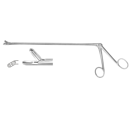 Rectal Biopsy Punches